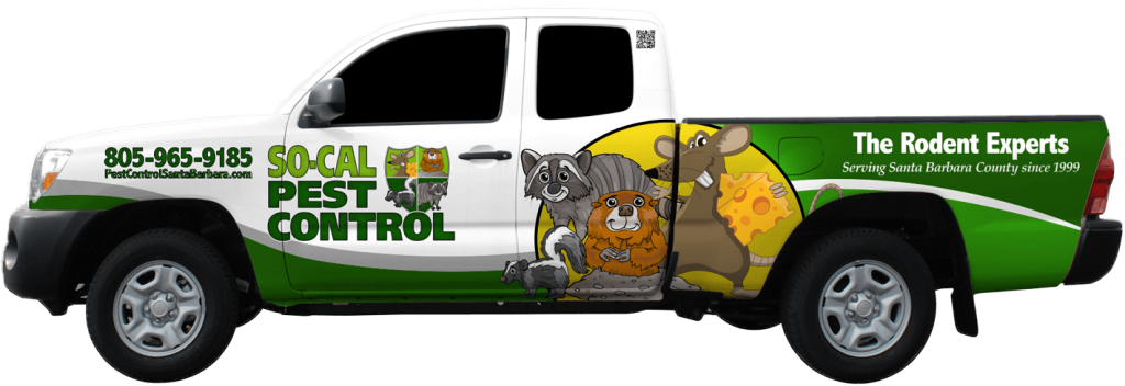 So Cal Pest Control Serves Santa Barbara California
